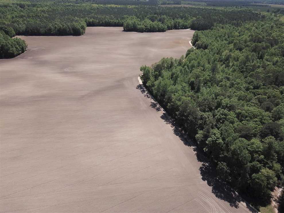 20 Acres of Land for sale in suffolk city County, Virginia