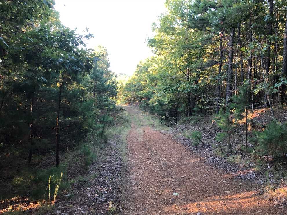 van buren County, Arkansas property for sale
