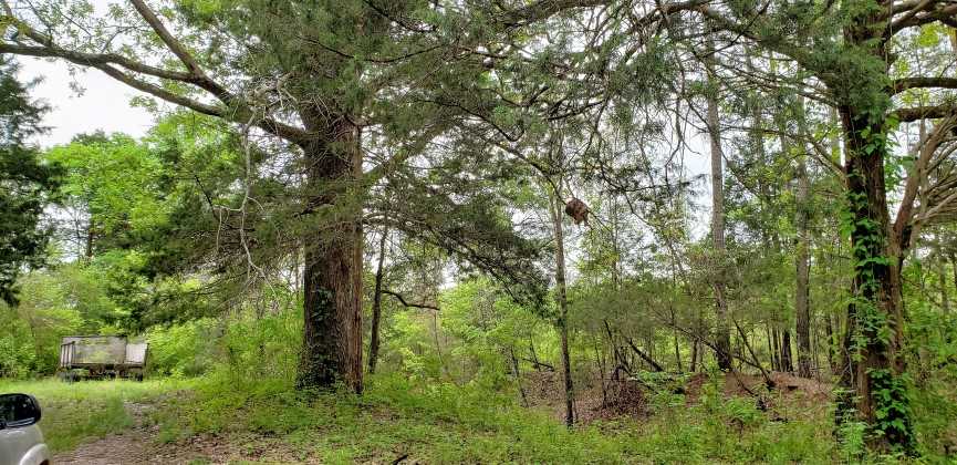 173 Acres of Recreational land for sale in Middleton, hardeman County, Tennessee
