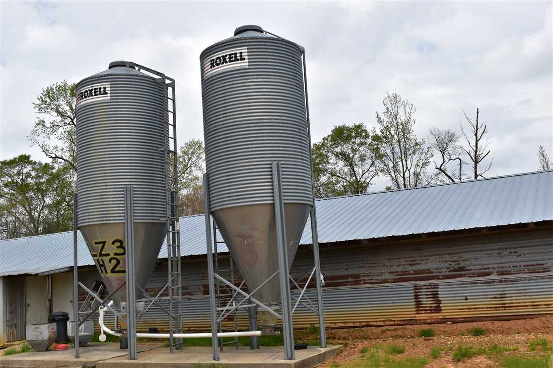 98 Acres of Farmland land for sale in Rosston, nevada County, Arkansas