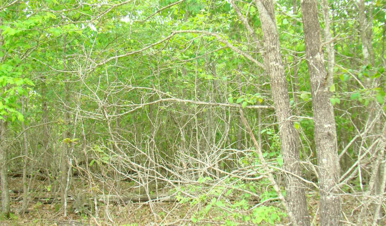 Houses and land for sale in Missouri