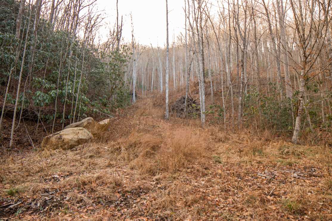 Land for sale to buy in 28771 zip code
