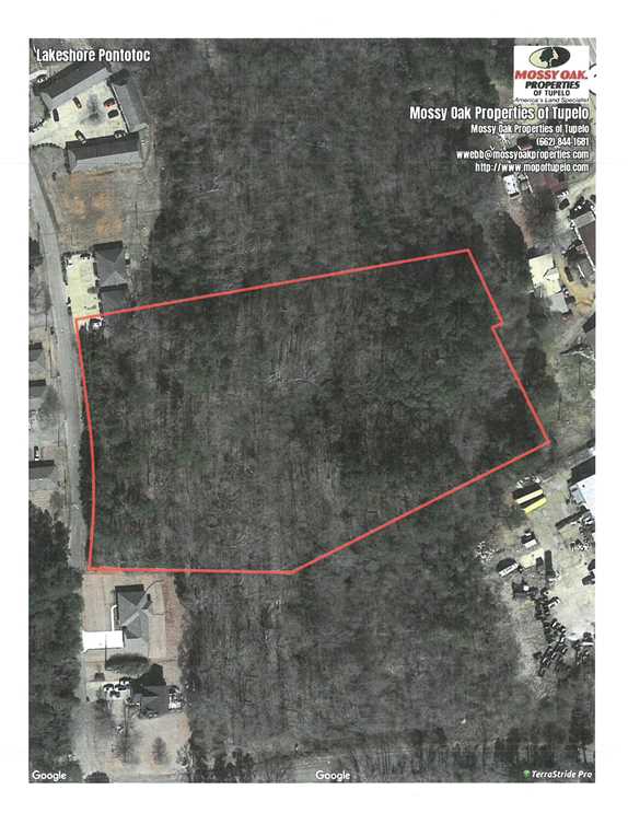 pontotoc County, Mississippi property for sale