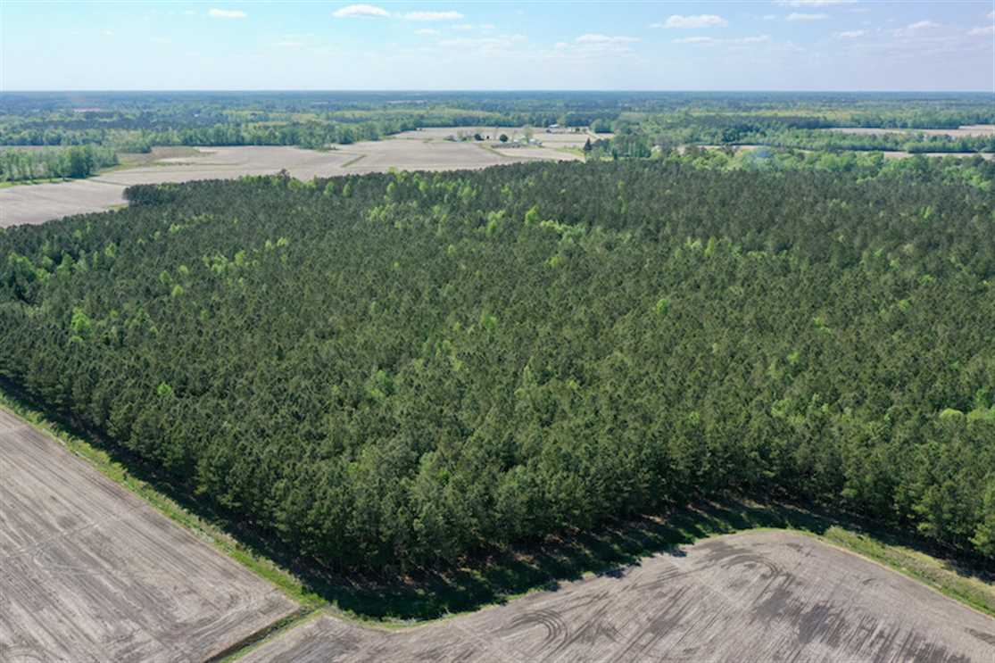Land for sale at Off Hwy 43