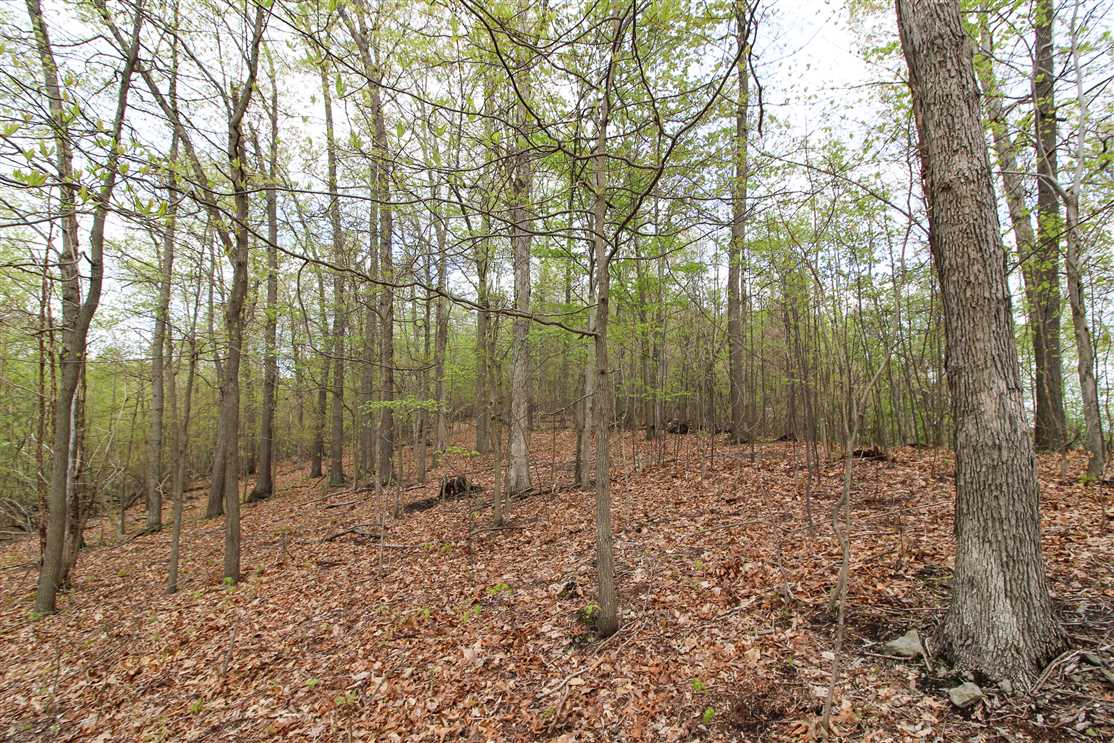 CR 55 - 48 acres - Jefferson County Real estate listing