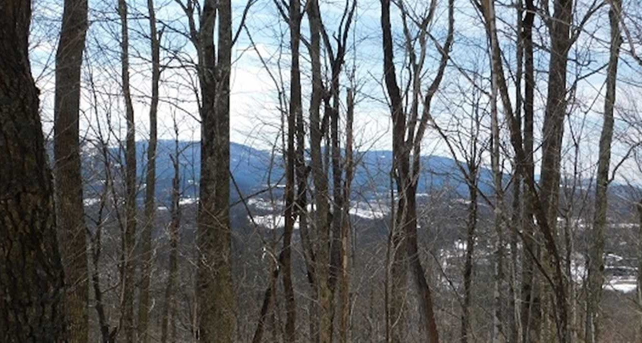 3 Acres of Residential Land for Sale in Grayson County VA! Real estate listing