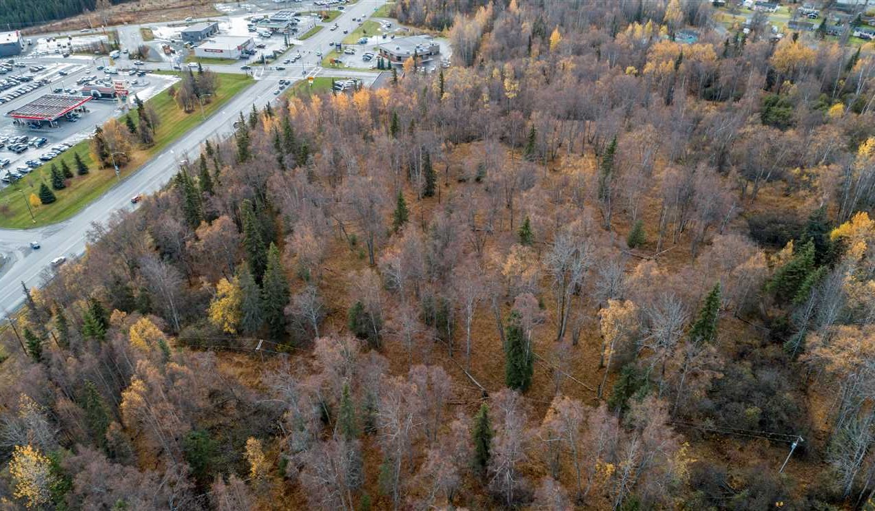 21.14 Acres of Land for Sale in kenai peninsula County Alaska