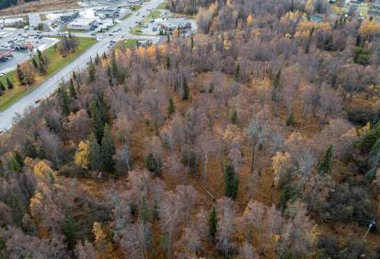 21.14 Acres of Land for Sale in kenai peninsula County Alaska