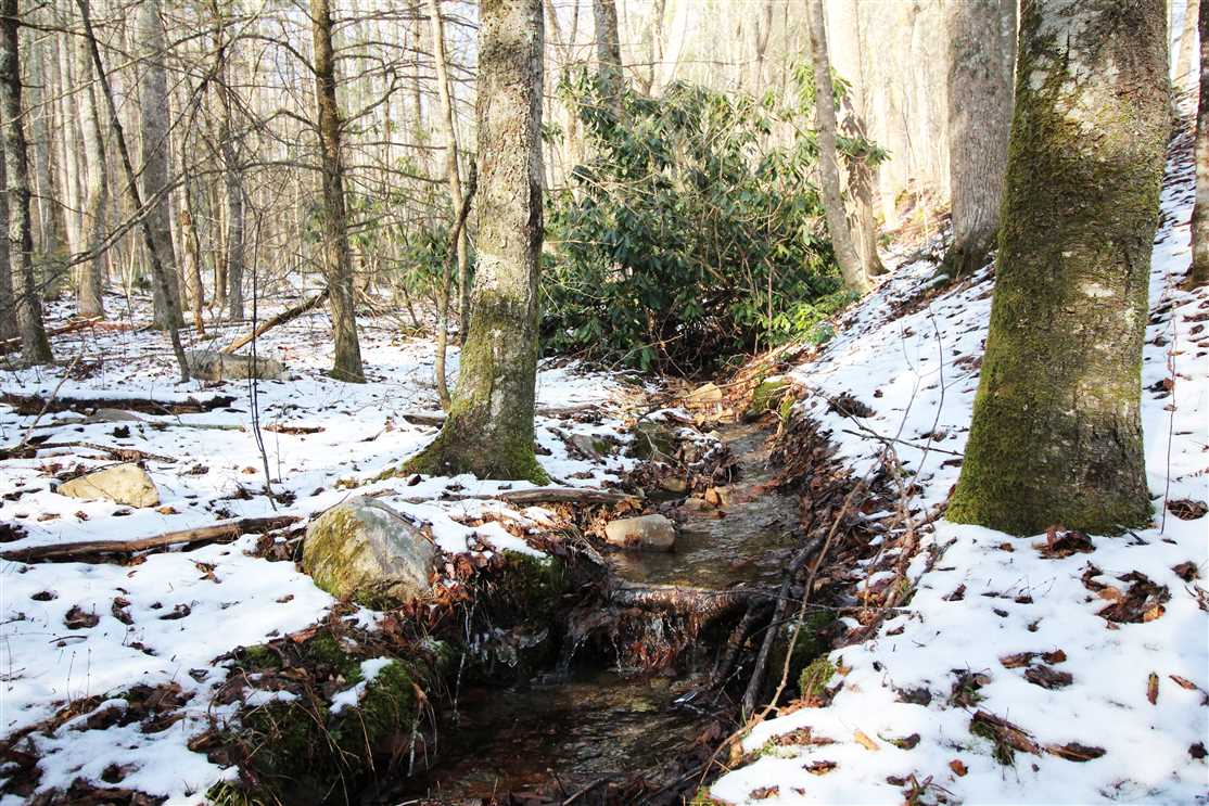 watauga County, North Carolina property for sale