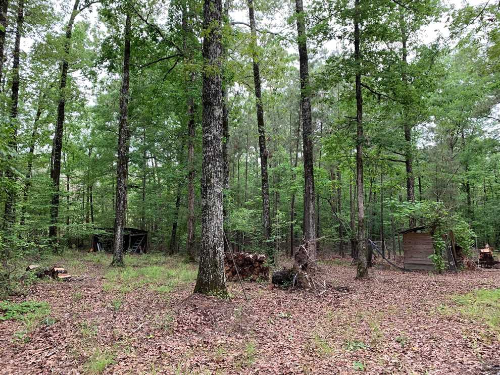 20 Acres of Recreational land for sale in Ruston, lincoln County, Louisiana