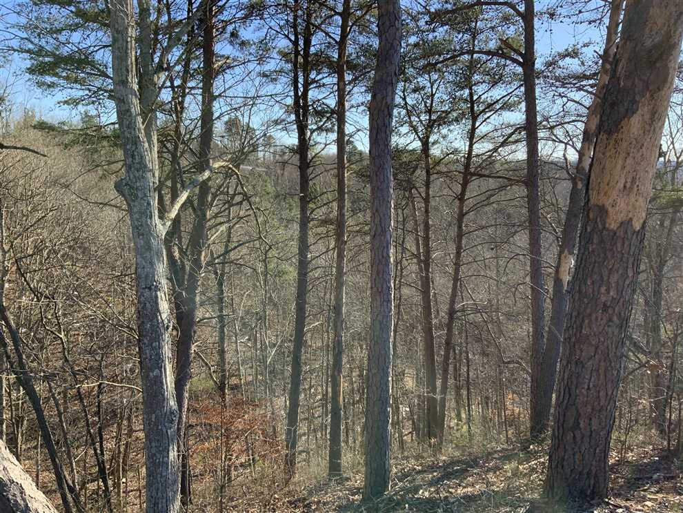 Land for sale to buy in 37185 zip code