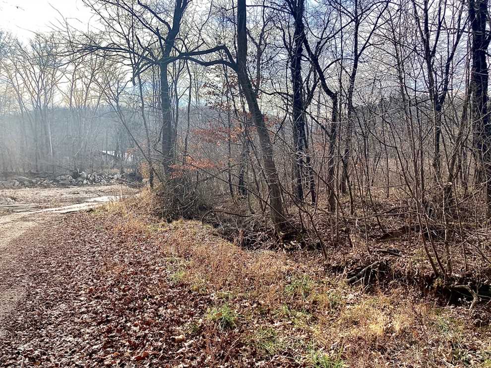 118 Acres of Land for sale in reynolds County, Missouri
