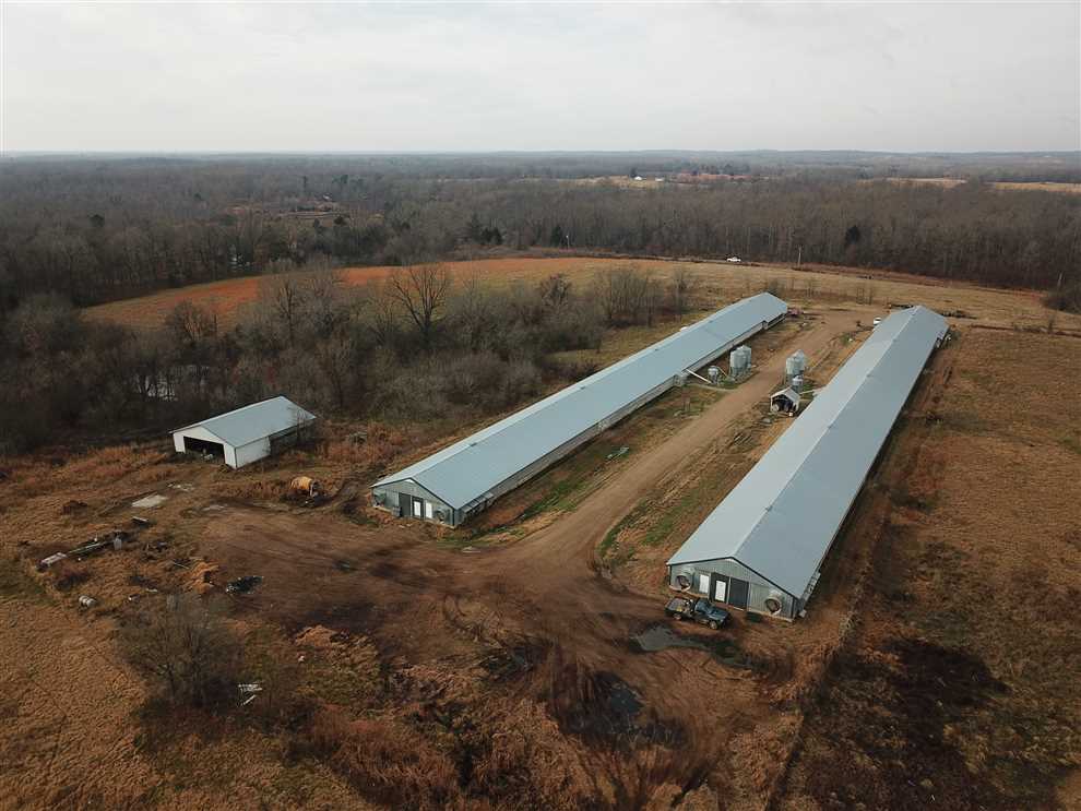ripley County, Missouri property for sale