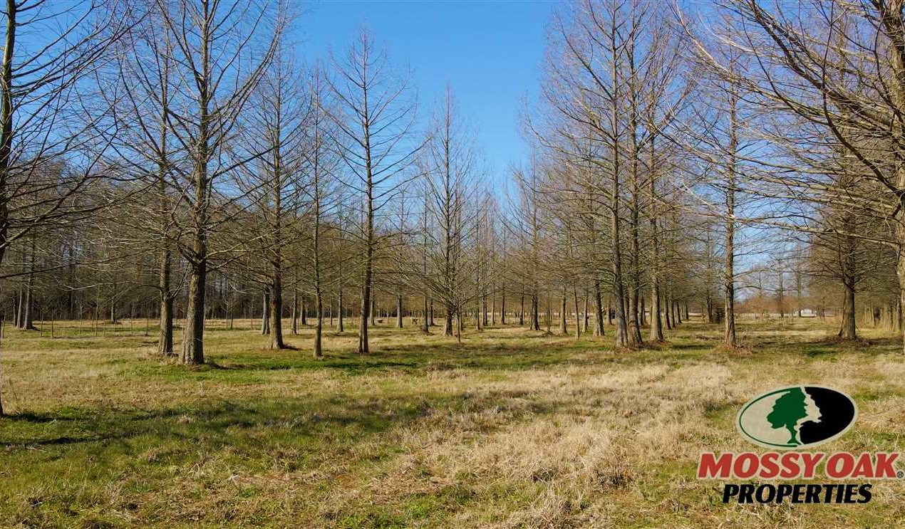 Recreational and   property for sale on The Land Market