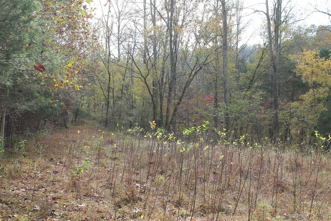 140 Acres of Recreational land for sale in Gainesboro, jackson County, Tennessee
