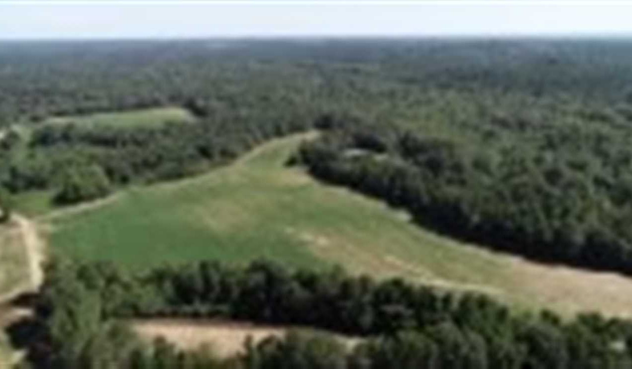 Farmland real estate available to buy