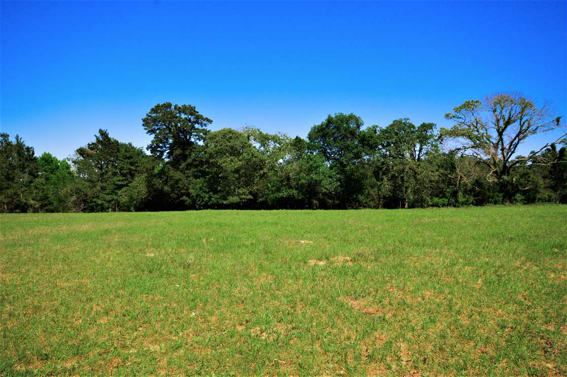 Beautiful Recreational and Ranchette Property - Nacogdoches County Real estate listing