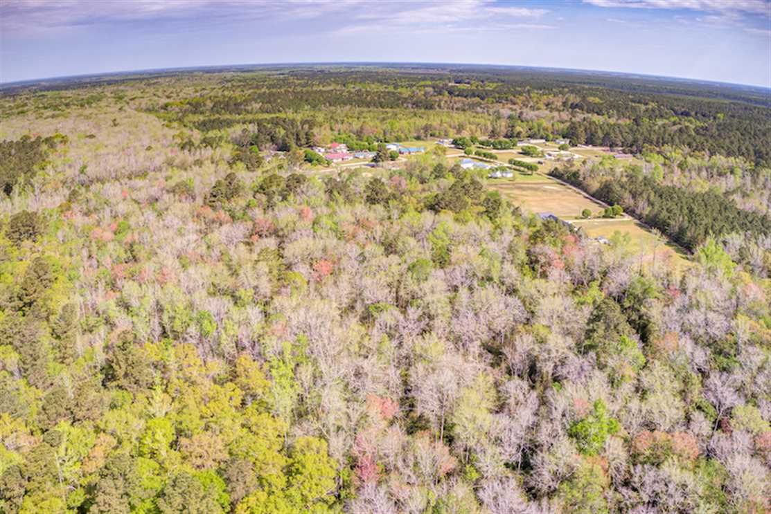 Houses and land for sale in North Carolina