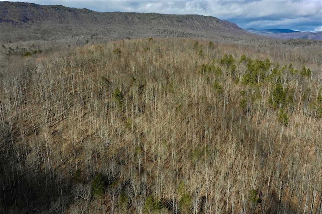 341.13 Acres of Recreational land for sale in Lexington, rockbridge County, Virginia