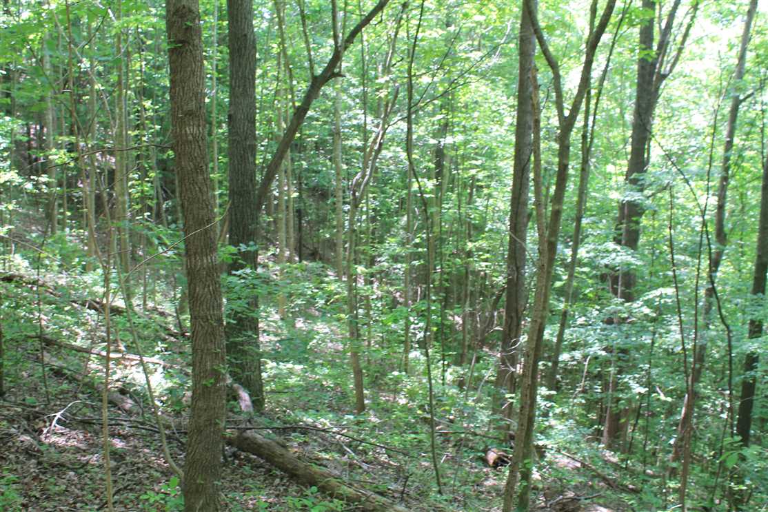 104.22 Acres of Land for sale in jackson County, Tennessee