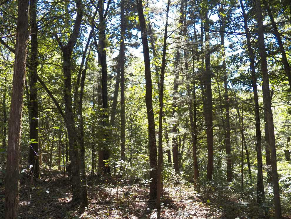 property for sale on The Land Market