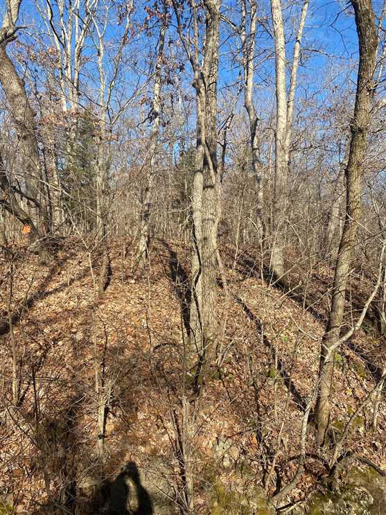 55 +/- acres of Timberland in Benton County, Missouri Real estate listing