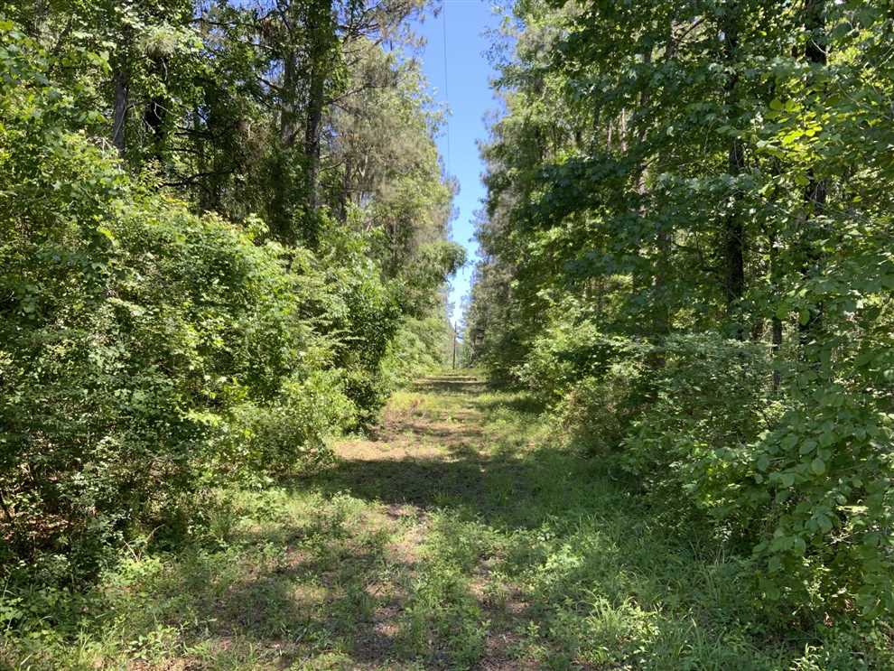 grant County, Louisiana property for sale