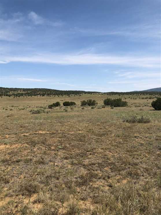 Land for sale at Dusty Rose