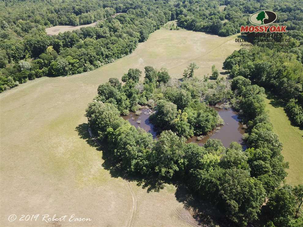 saline County, Arkansas property for sale