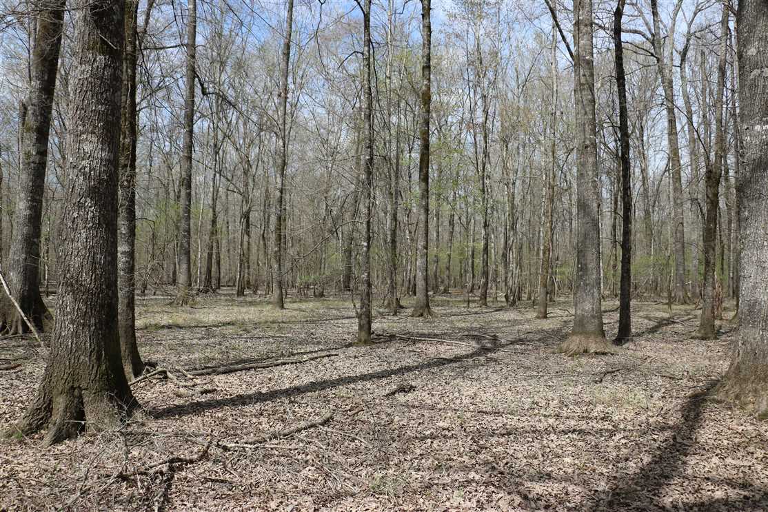 Recreational and   property for sale on The Land Market