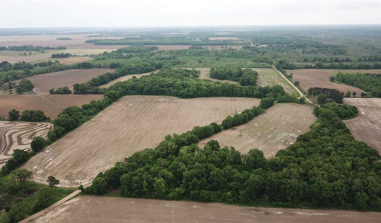 96 Acres of Land for Sale in saint francis County Arkansas