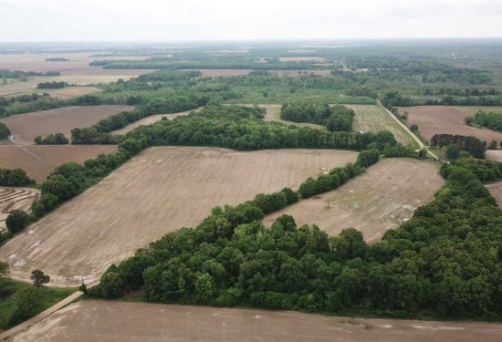 96 Acres of Land for Sale in saint francis County Arkansas