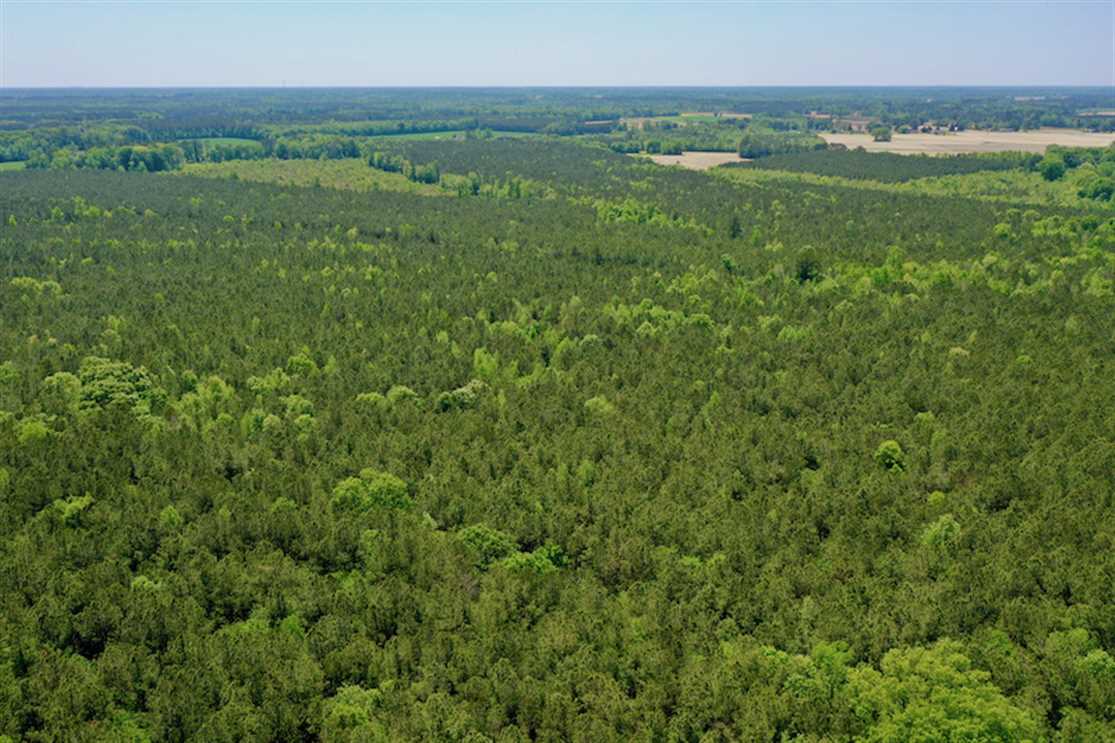 hertford County, North Carolina property for sale