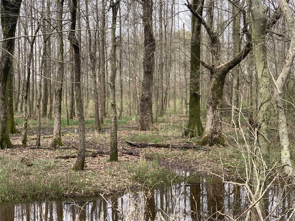 Land for sale at