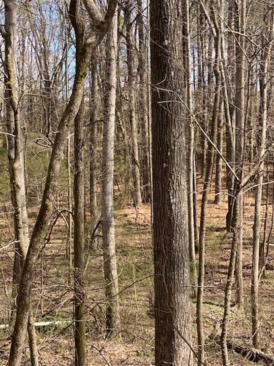 Lakeshore Drive Pontotoc, MS Real estate listing