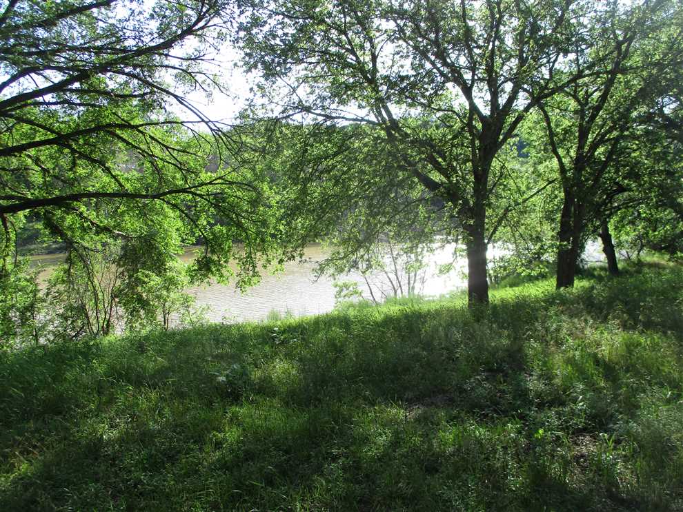 Farmland real estate available to buy