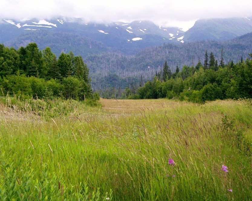 168 Acres of Recreational land for sale in Homer, kenai peninsula County, Alaska