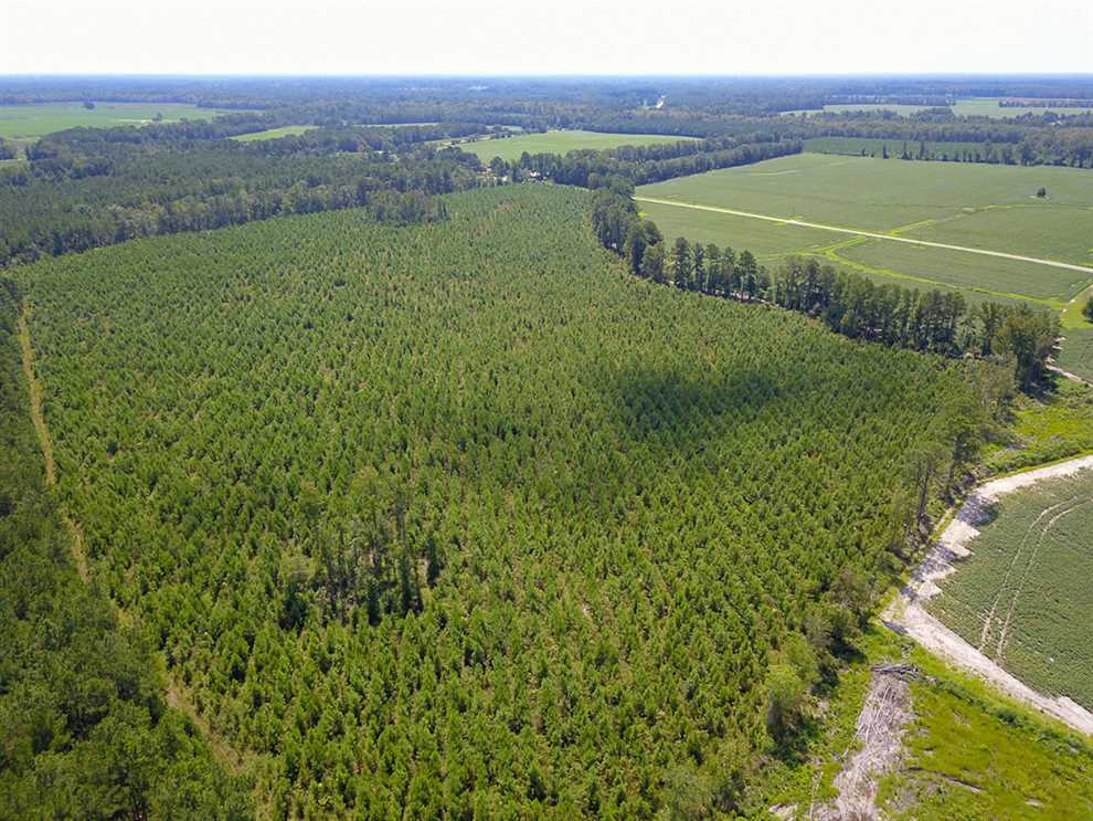Land for sale to buy in 27847 zip code