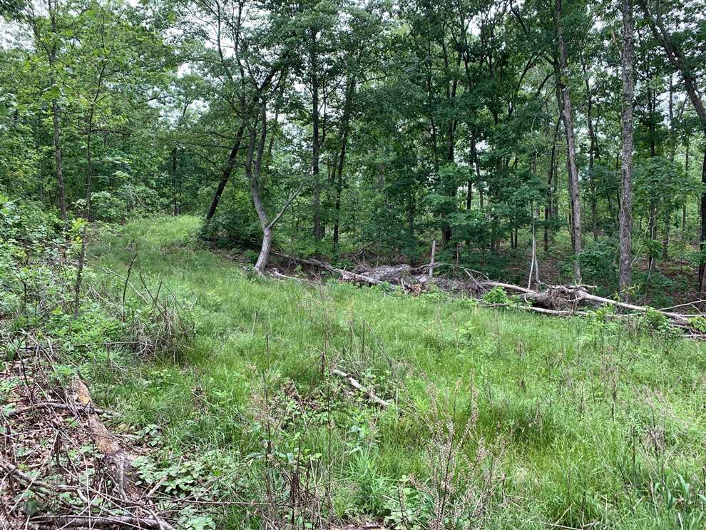 Land for sale at 2570 Christy Mine Rd, Bourbon, MO 65441