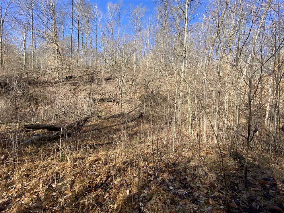 60 Acres of Woods-Co Rd 1175, Jackson County-Land for Sale Real estate listing