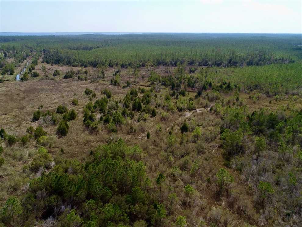 16.64 Acres of Recreational land for sale in Bayboro, pamlico County, North Carolina
