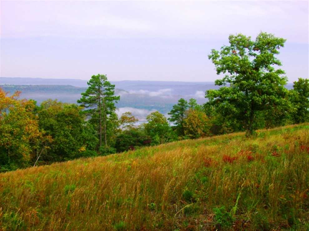 Property for sale at