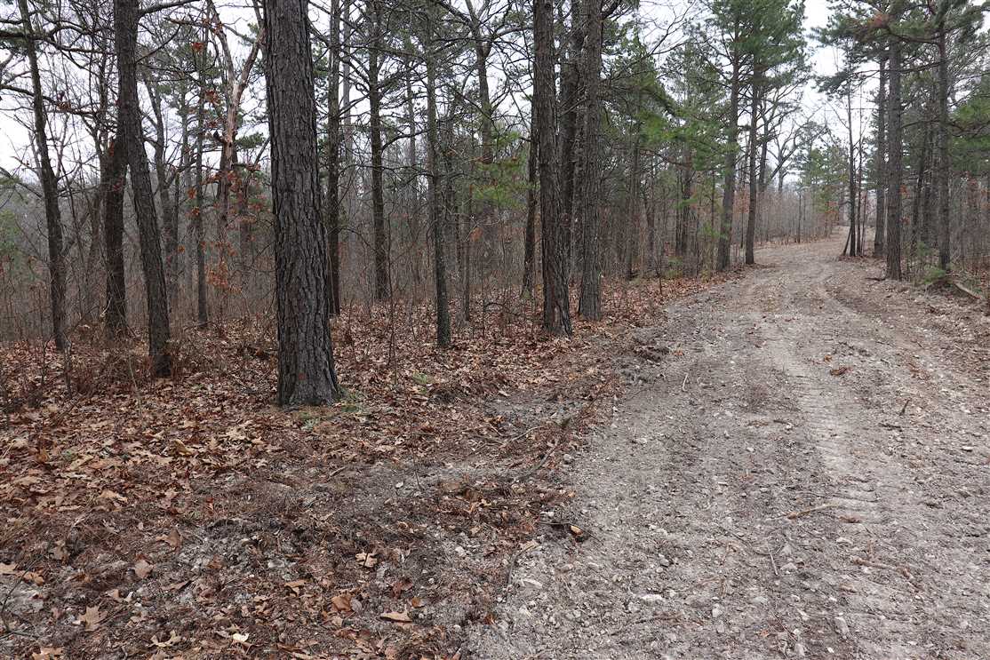 Eureka Springs 34.28 acres Tract A Real estate listing