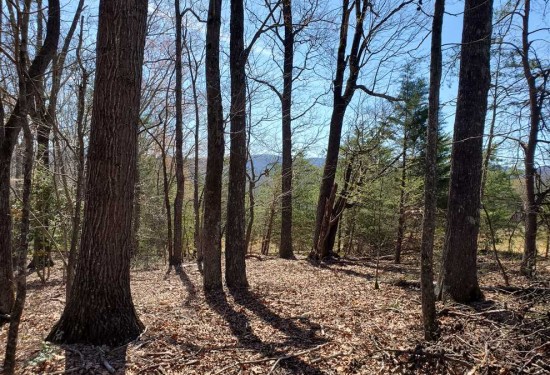 15.3 Acres of Land for Sale in wilkes County North Carolina