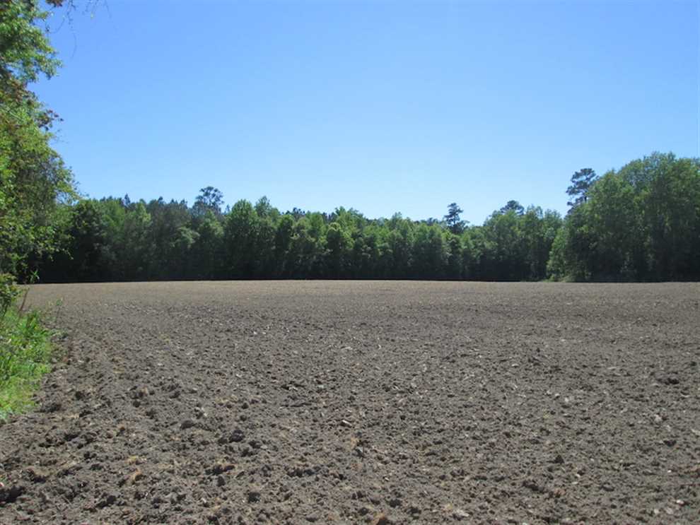 property for sale on The Land Market