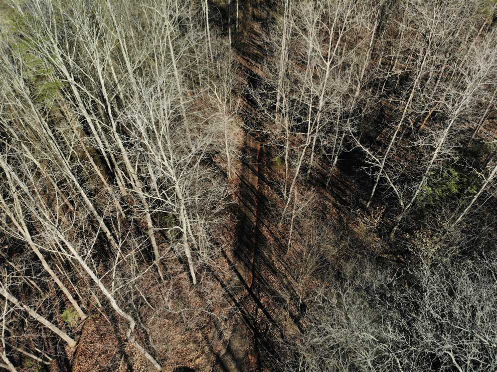 26.57 Acres of Residential land for sale in Dobson, surry County, North Carolina