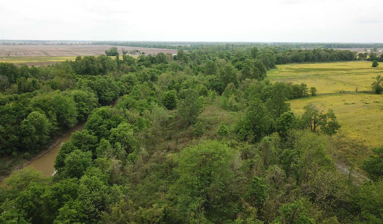 78 Acres of Land for Sale in crittenden County Arkansas