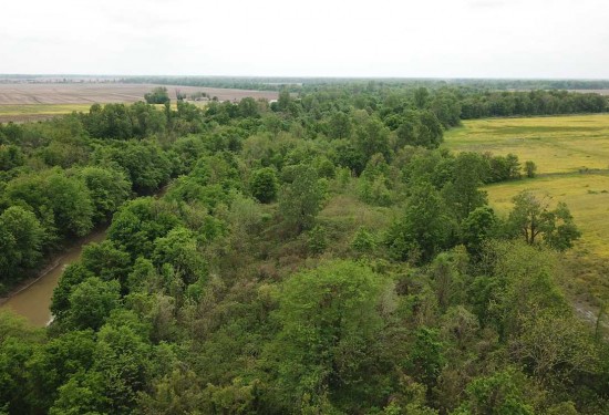 78 Acres of Land for Sale in crittenden County Arkansas