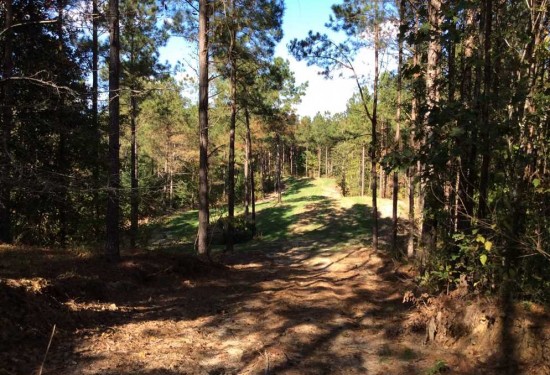 236 Acres of Land for Sale in caldwell County Louisiana
