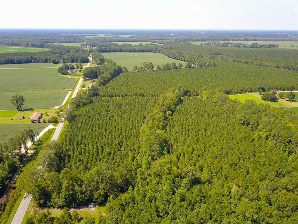 Houses and land for sale in North Carolina